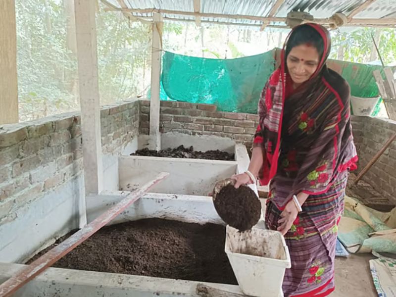যে গ্রামের অর্ধশত মানুষ কেঁচো সার উৎপাদন করেন